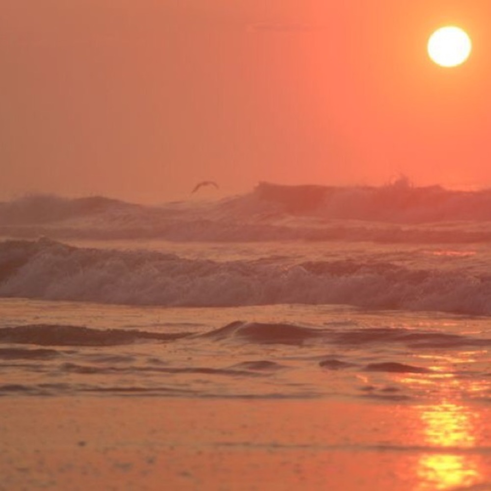 Meet your Posher, Mel